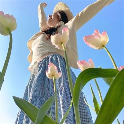 双尾奇遇 海报