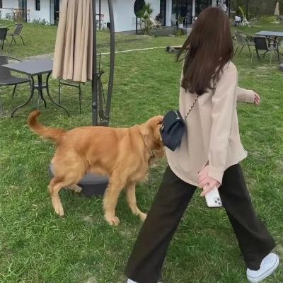 雅各布教士历险记 海报